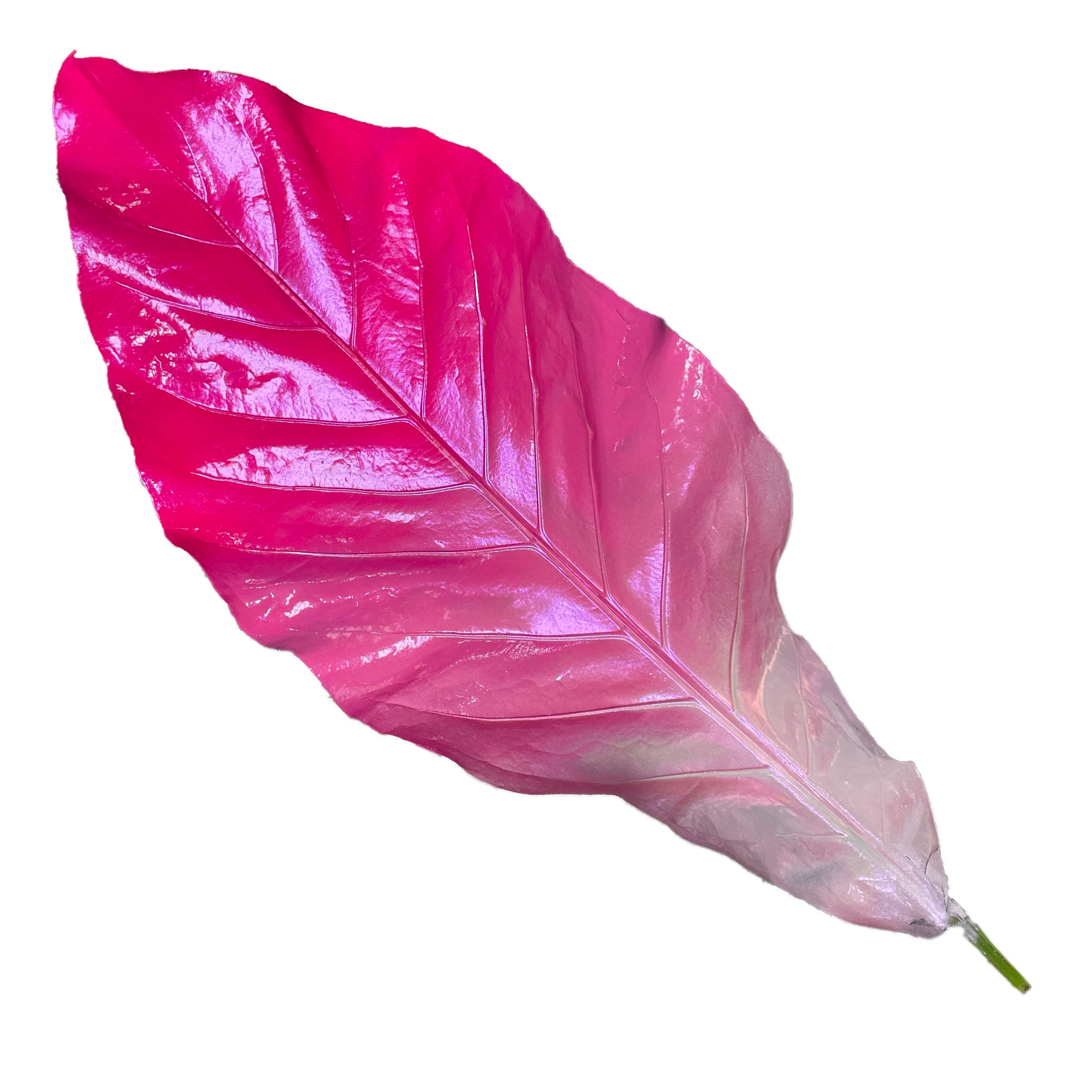 Nā Pua Ola Mau (Aura Leaf)
